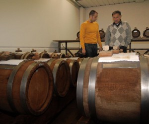 Serra Marco e Daniele